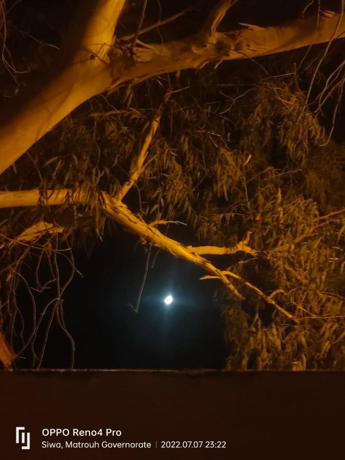 לינה וארוחת בוקר Siwa Oasis A&S House מראה חיצוני תמונה