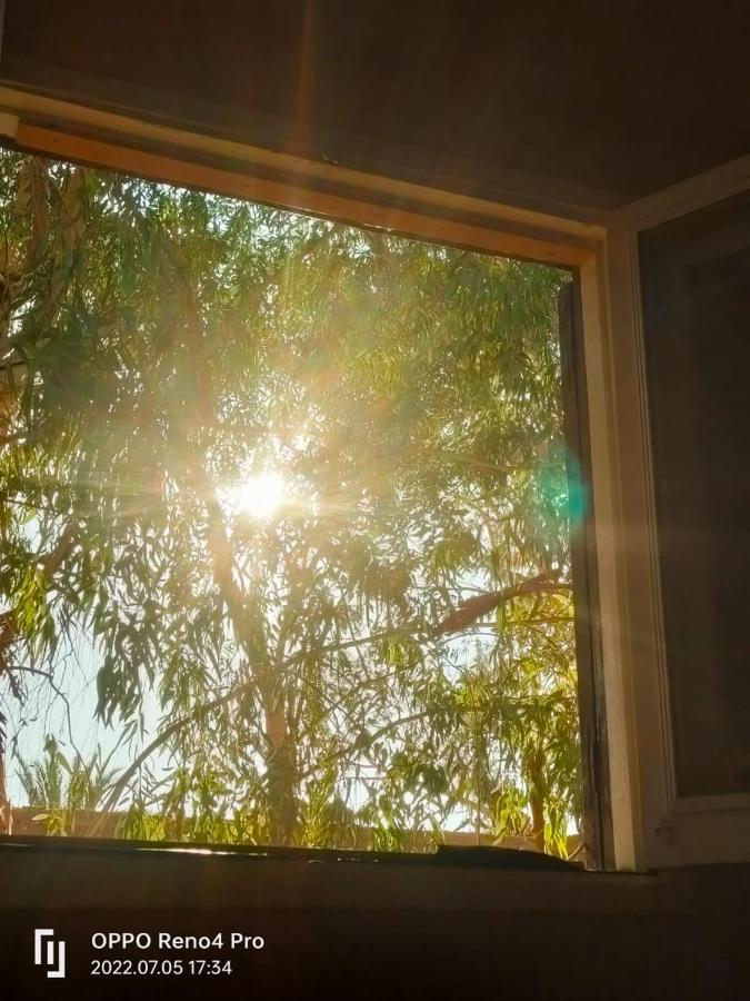 לינה וארוחת בוקר Siwa Oasis A&S House מראה חיצוני תמונה